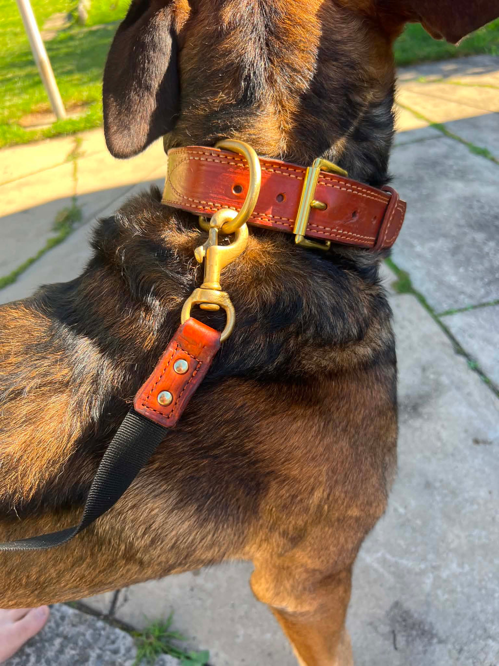 Eastern Edge Gunslinger Dog Lead (6ft)