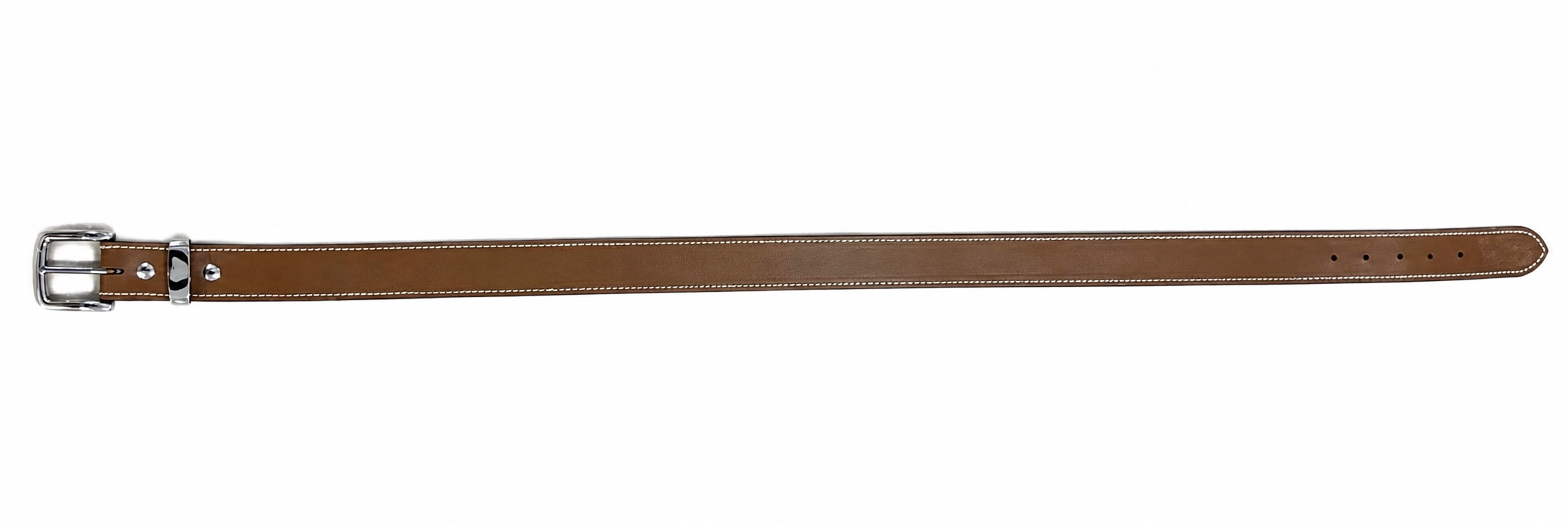 Eastern Edge Plain Dog Collar