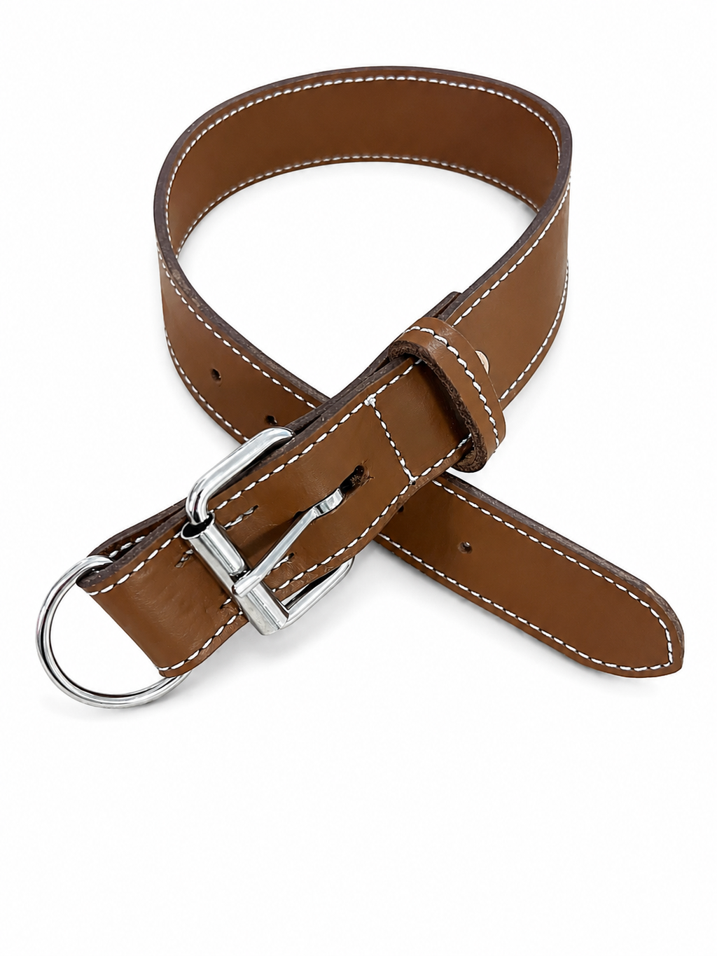 Eastern Edge Plain Dog Collar