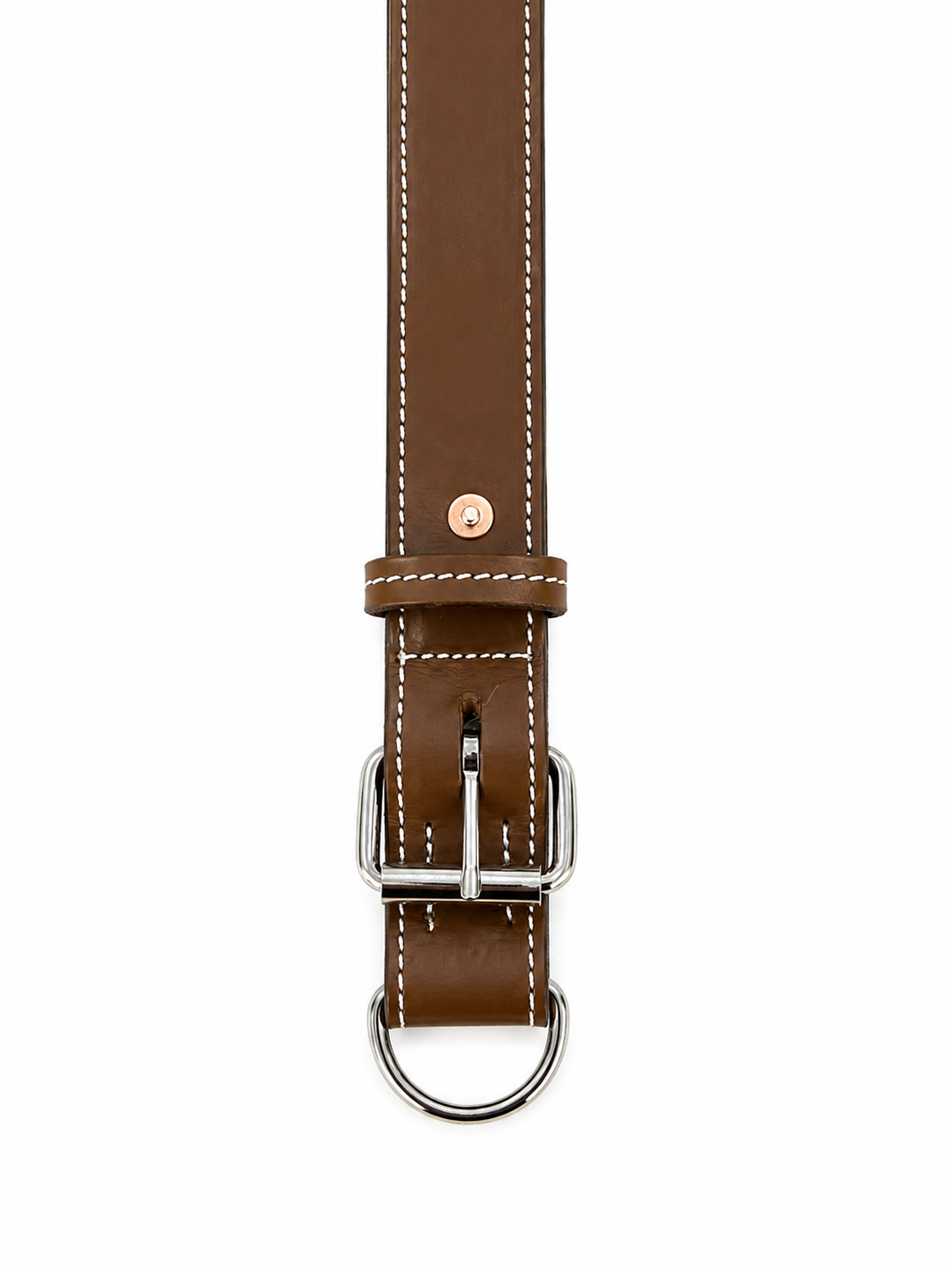 Eastern Edge Plain Dog Collar