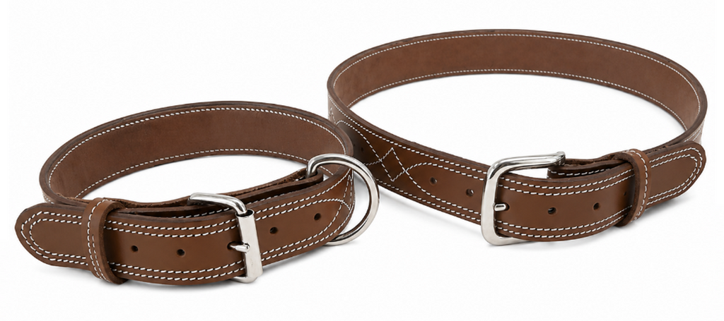Eastern Edge Gunslinger Matching Set — Belt & Dog Collar Bundle